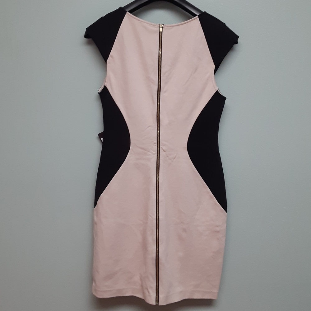 EXPRESS 《Dress》 - Picture 2 of 4